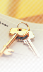 DC Gear Motor Servo Gear Box Manufacturer Shaft-Mounted Gear Motor